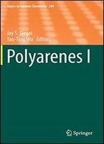 Polyarenes I (Topics In Current Chemistry)