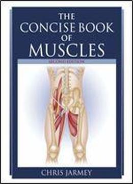 The Concise Book Of Muscles