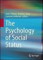The Psychology Of Social Status