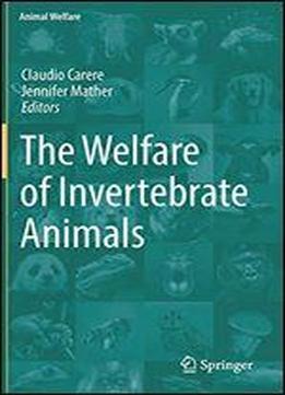The Welfare Of Invertebrate Animals