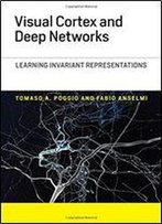 Visual Cortex And Deep Networks: Learning Invariant Representations