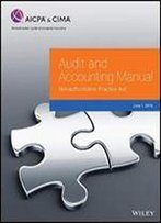 Audit And Accounting Manual: Nonauthoritative Practice Aid, 2019