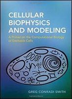 Cellular Biophysics And Modeling: A Primer On The Computational Biology Of Excitable Cells