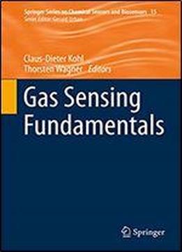 Gas Sensing Fundamentals (springer Series On Chemical Sensors And Biosensors Book 15)