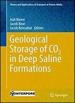 Geological Storage Of Co2 In Deep Saline Formations (Theory And Applications Of Transport In Porous Media Book 29)