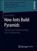 How Ants Build Pyramids: The Concept Of Task/Technology Fit In Crowdsourcing (Markt- Und Unternehmensentwicklung Markets And Organisations)