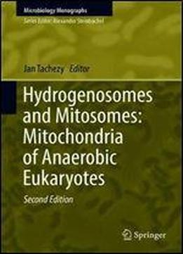 Hydrogenosomes And Mitosomes: Mitochondria Of Anaerobic Eukaryotes