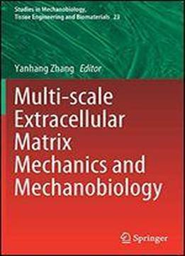 Multi-scale Extracellular Matrix Mechanics And Mechanobiology
