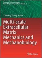 Multi-Scale Extracellular Matrix Mechanics And Mechanobiology