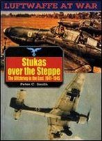 Stukas Over The Steppe: The Blitzkrieg In The East 1941-1945 (Luftwaffe At War 9)