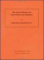 The Action Principle And Partial Differential Equations