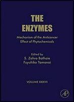 The Enzymes: Mechanism Of The Anticancer Effect Of Phytochemicals