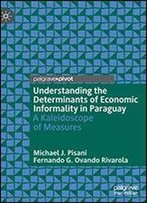 Understanding The Determinants Of Economic Informality In Paraguay: A Kaleidoscope Of Measures