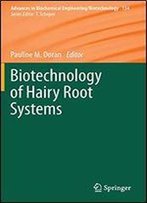 Biotechnology Of Hairy Root Systems
