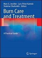 Burn Care And Treatment: A Practical Guide