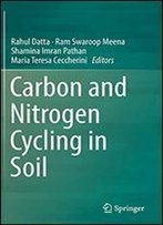 Carbon And Nitrogen Cycling In Soil
