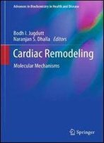 Cardiac Remodeling: Molecular Mechanisms (Advances In Biochemistry In Health And Disease)