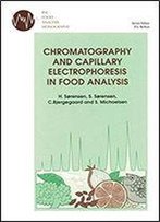 Chromatography And Capillary Electrophoresis In Food Analysis (Rsc Food Analysis Monographs)