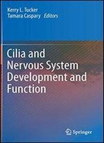 Cilia And Nervous System Development And Function