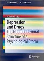 Depression And Drugs: The Neurobehavioral Structure Of A Psychological Storm (Springerbriefs In Psychology)