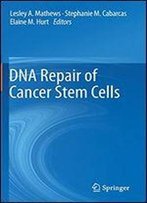Dna Repair Of Cancer Stem Cells