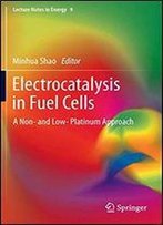 Electrocatalysis In Fuel Cells: A Non- And Low- Platinum Approach (Lecture Notes In Energy)