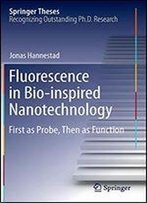 Fluorescence In Bio-Inspired Nanotechnology: First As Probe, Then As Function (Springer Theses)