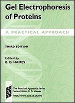 Gel Electrophoresis Of Proteins: A Practical Approach (practical Approach Series) 3rd Edition