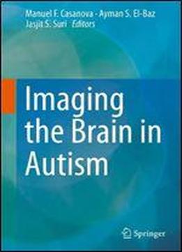 Imaging The Brain In Autism