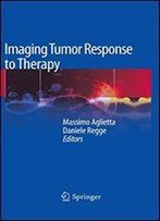 Imaging Tumor Response To Therapy