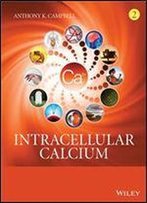 Intracellular Calcium