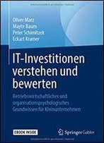 It-Investitionen Verstehen Und Bewerten: Betriebswirtschaftliches Und Organisationspsychologisches Grundwissen Fr Kleinunternehmen