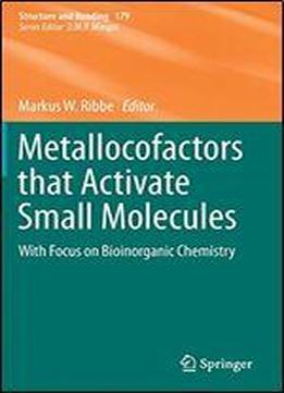 Metallocofactors That Activate Small Molecules: With Focus On Bioinorganic Chemistry
