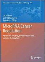 Microrna Cancer Regulation: Advanced Concepts, Bioinformatics And Systems Biology Tools (Advances In Experimental Medicine And Biology)