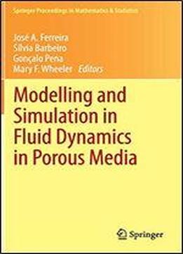 Modelling And Simulation In Fluid Dynamics In Porous Media