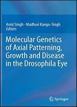 Molecular Genetics Of Axial Patterning, Growth And Disease In The Drosophila Eye