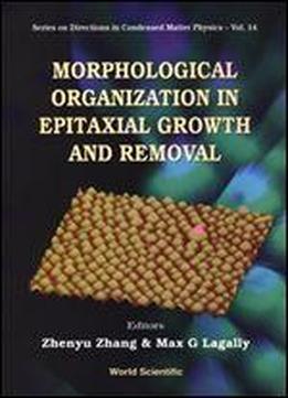 Morphological Organization In Epitaxial Growth And Removal