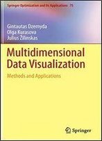 Multidimensional Data Visualization: Methods And Applications (Springer Optimization And Its Applications)
