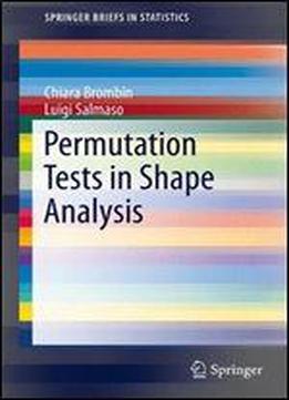 Permutation Tests In Shape Analysis (springerbriefs In Statistics)