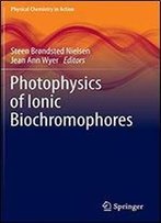 Photophysics Of Ionic Biochromophores