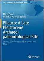 Pilauco: A Late Pleistocene Archaeo-Paleontological Site: Osorno, Northwestern Patagonia And Chile