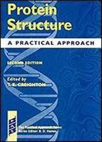 Protein Structure: A Practical Approach 2nd Edition