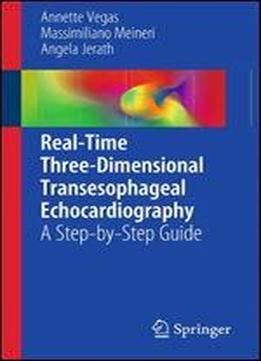 Real-time Three-dimensional Transesophageal Echocardiography: A Step-by-step Guide