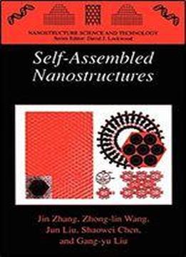 Self- assembled Nanostructures (nanostructure Science And Technology)