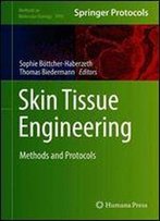 Skin Tissue Engineering: Methods And Protocols