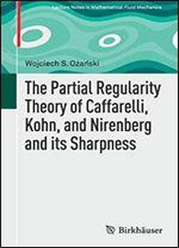 The Partial Regularity Theory Of Caffarelli, Kohn, And Nirenberg And Its Sharpness