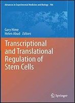 Transcriptional And Translational Regulation Of Stem Cells
