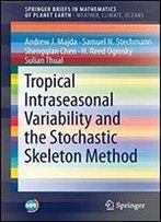 Tropical Intraseasonal Variability And The Stochastic Skeleton Method