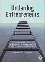 Underdog Entrepreneurs: A Framework Of Success For Marginalized And Minority Innovators