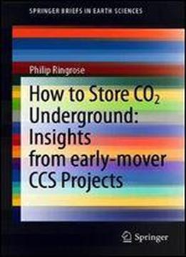 How To Store Co2 Underground: Insights From Early-mover Ccs Projects (springerbriefs In Earth Sciences)